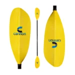 Paddle_Image_Update_62